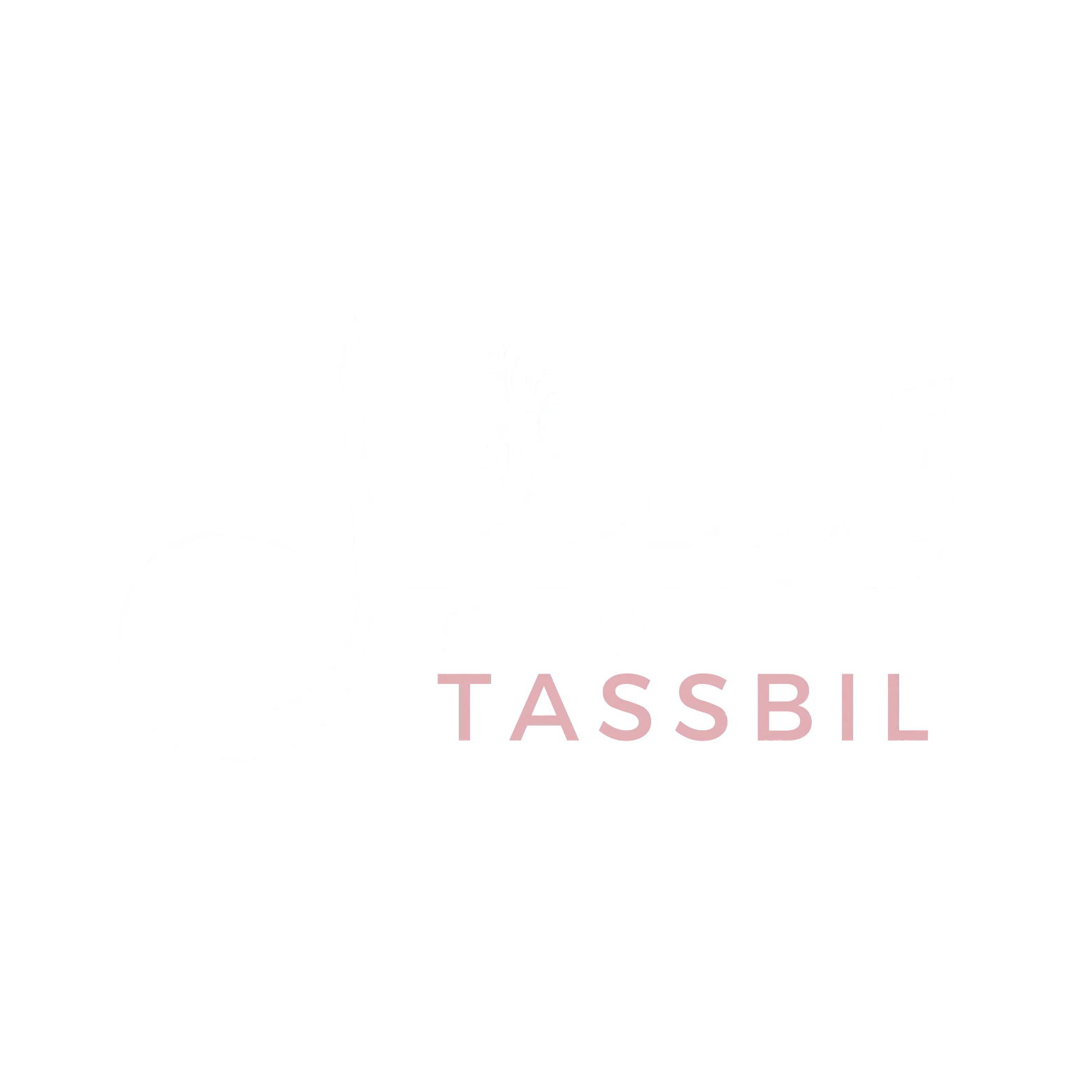 Tassbil